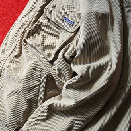 Patagonia Cordillera Parka (00s L )