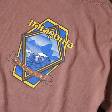 Patagonia Beneficial T-Shirt (00s S made in USA)