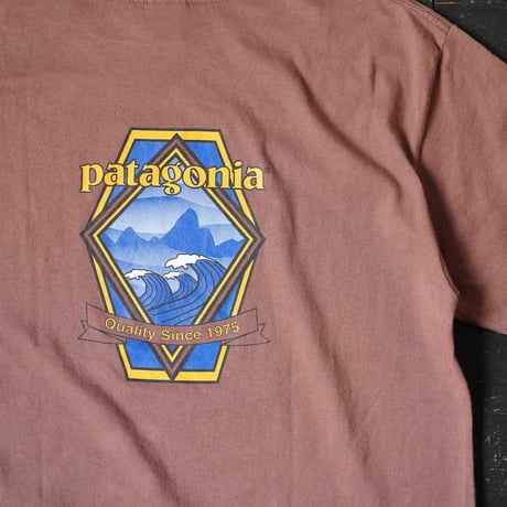 Patagonia Beneficial T-Shirt (00s S made in USA)