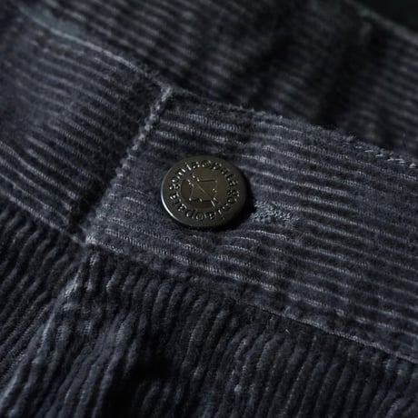 Patagonia Organic Cotton Corduroy Pant (00s 33)