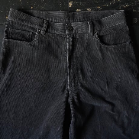 Patagonia Organic Cotton Corduroy Pant (00s 33)