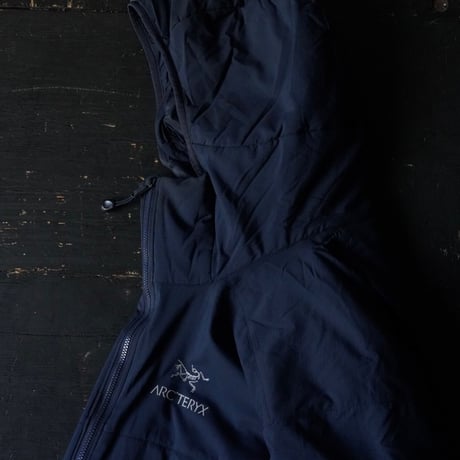 Arc'teryx Atom AR Hoody (00s M)