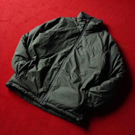 Patagonia Stealth Downer Jacket "Seagrass" (06s M)