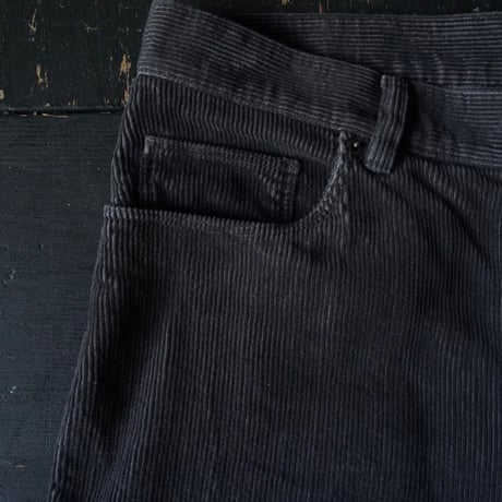Patagonia Organic Cotton Corduroy Pant (00s 33)