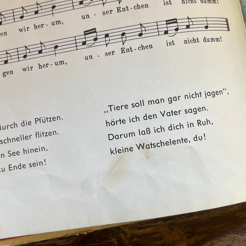 Und wo kommt der Spektakel her?』（大騒ぎはどこから来るの？）