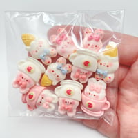 10個  訳あり  B品 パック