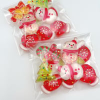 10個   訳あり  B品 パック