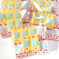 10個   訳あり  B品 パック