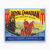 アメリカ　ROYAL CANADIAN TOM COLLINS MIXER　ドリンクのラベル