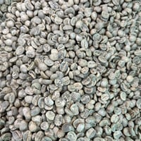【生豆】ウォッシュトスペシャルティコーヒー　お試し