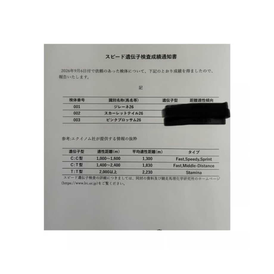 6ab63e4724fac363eafb85af