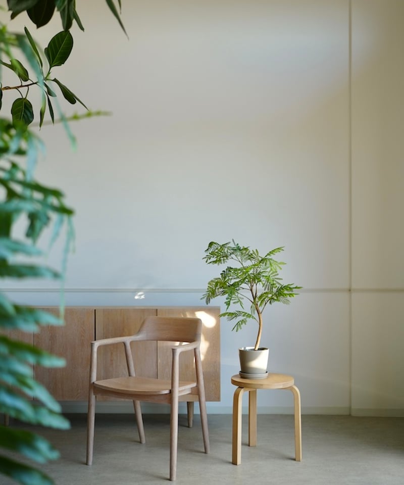 エバーフレッシュ 80 | artificial olive awajishima