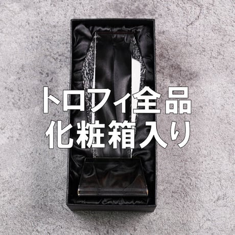 （sc-cr12）名入れ彫刻 クリスタルトロフィ 3サイズ 底面ホログラム加工