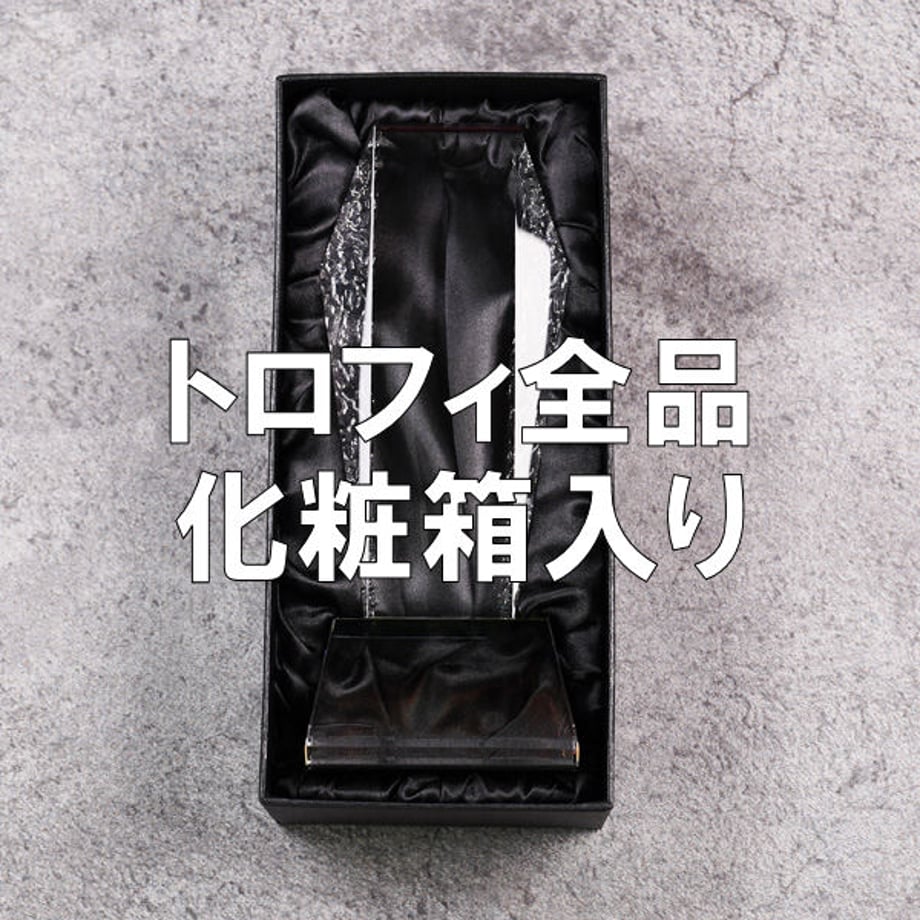 6a5ae1e97619fe93dcceea3d