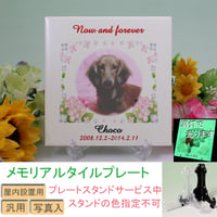 （omo-tt-1）写真 名入れ ペット用メモリアルタイルプレート 光る蓄光タイル