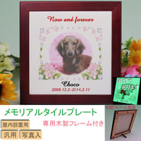 （omo-tt-1f）写真 名入れ ペット用メモリアルタイルプレート 光る蓄光タイル 専用木製フレーム付き