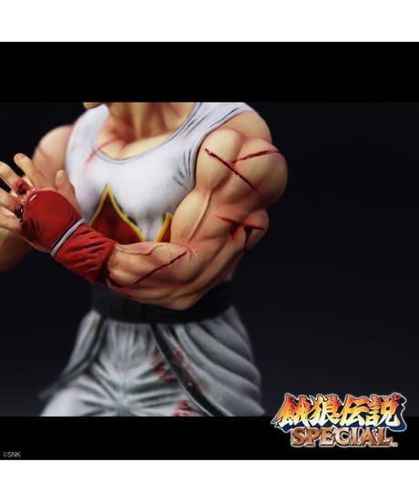 【予約】THE KING OF COLLECTORS`24 EX 「アンディ・ボガード」(HGダメージVer.)  塗装済みフィギュア　［STUDIO24(スタジオニーヨン)］