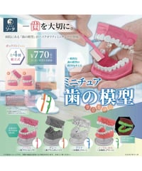 【予約】ミニチュア歯の模型  (完成品) 　4個入1BOX 　[SO-TA]