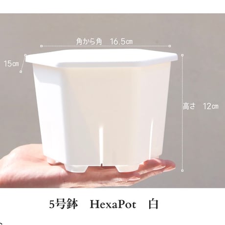 ヘキサポット　5号　ホワイト
