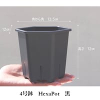 ヘキサポット　4号　ブラック