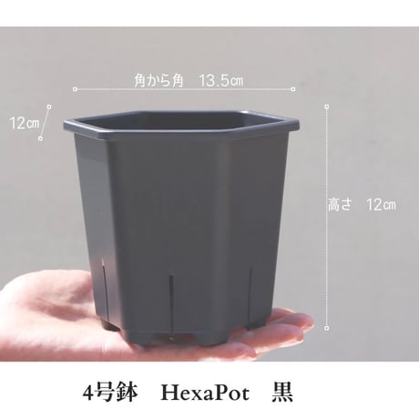 ヘキサポット　4号　ブラック