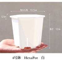 ヘキサポット　4号　ホワイト