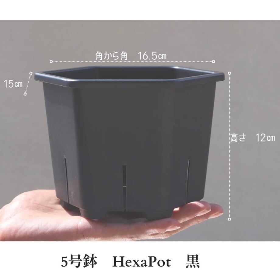 6ad6cab54eb44e35ea4c504f
