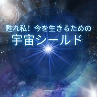 【錬金術ワーク】宇宙シールド（自分に影響を及ぼしている４次元存在からの干渉を防ぎ、ライトワーク）