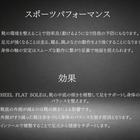 Heel Flat Sole（特許取得インソール）