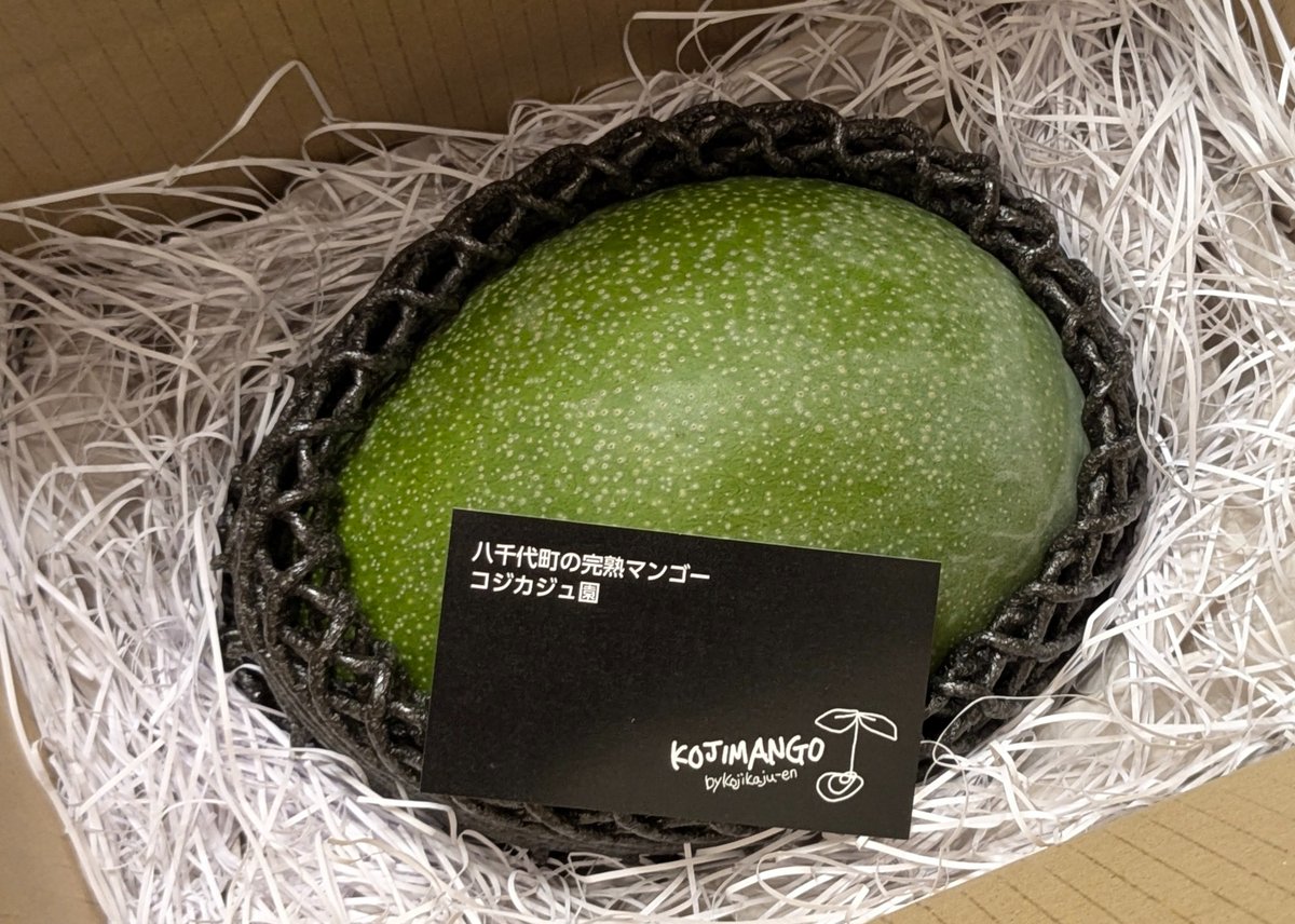 0.8～1kg 】 キーツ マンゴー 1～2玉 送料無料（一部地域を除く