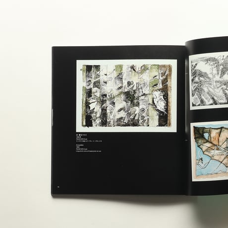 メキシコ現代版画と日本 カイロン版画工房コレクションを中心に / 読売新聞社(1998)