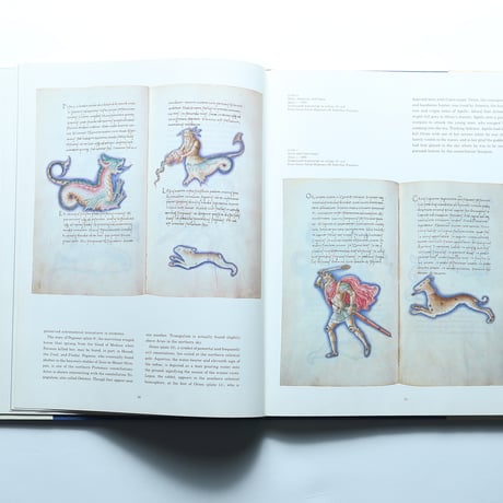 Maps of the heavens / Abbeville Press(1984)