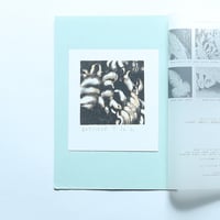 出原司「SEA INCECTS」 リトグラフオリジナルプリント（1992）