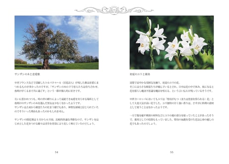 【電子版/PDF】REFECTORY vol.1　Bluesky投稿選集 2026.01-2026.06