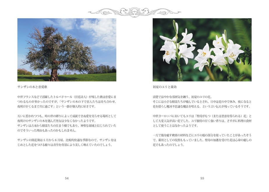 6ac068867a8bfb47f9296c4e