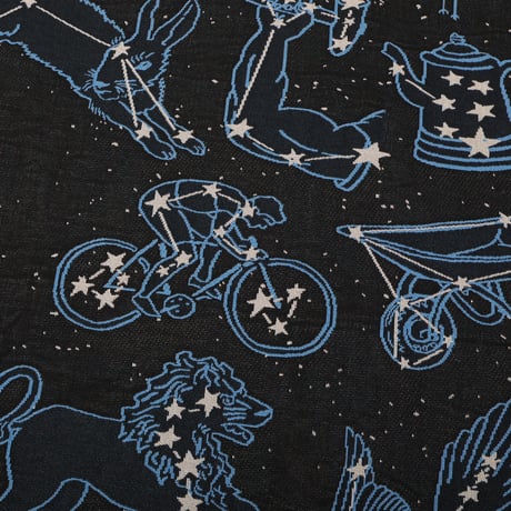PASS~PORT STARGAZER THROW BLANKET Blue/Black