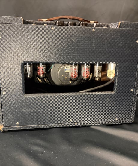 Ampeg J-12