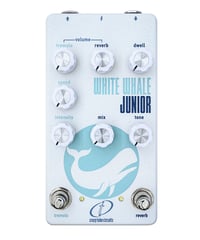 Crazy Tube Circuits White Whale JR