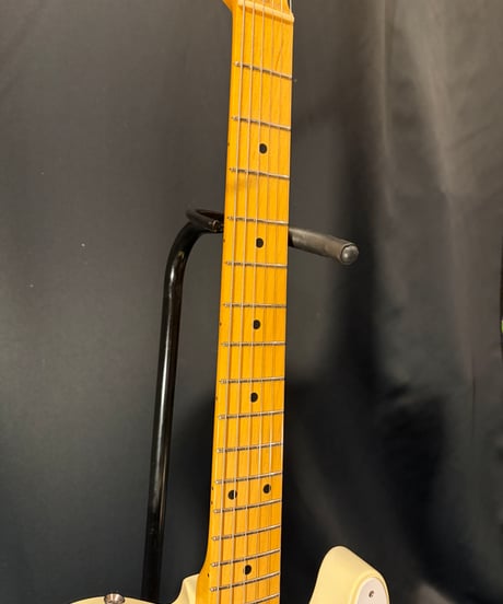 KING SNAKE Sidewinder/W.BLD