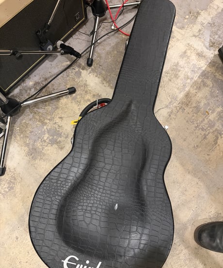 Epiphone  Spartan