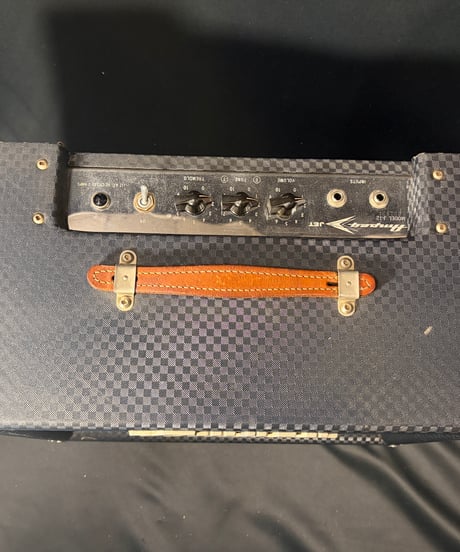 Ampeg J-12