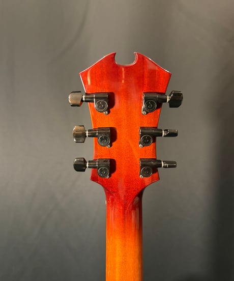 SAITO GUITAR　M38