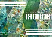 IRODORI Vol.47　アートの手引き『Avicii』