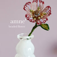 【celeste fleur】Antares