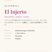 El Injerto Pacamara Washed - 60g