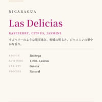 Nicaragua Las Delicious Geisha Natural 60g Roasted on 10/14