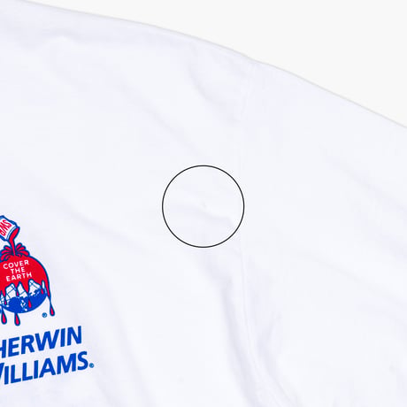 【USED】2010s GILDAN : "SHERWIN WILLIAMS" Crew T-Shirt : XL