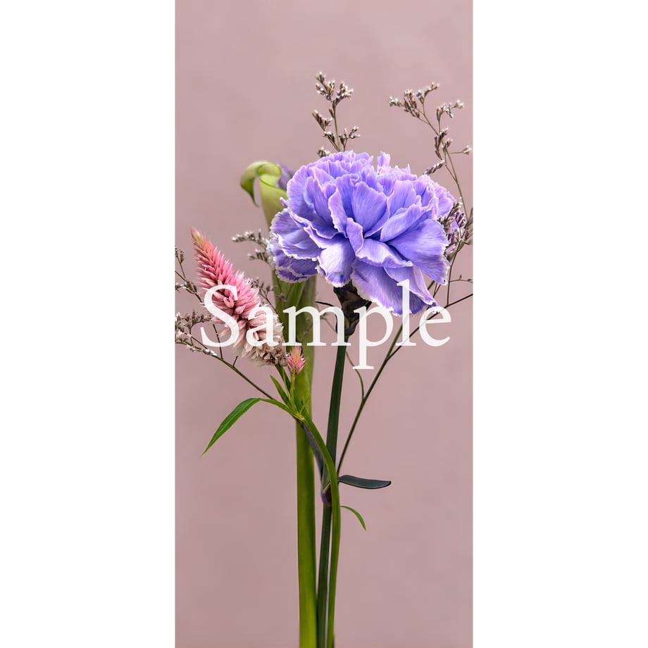 6ab763f5068b4d37747974d1