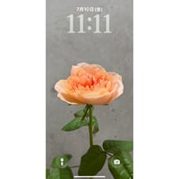 ［Aphrodite］私らしく、好きと喜びに生きる。人生に、愛と豊かさの花を咲かせる。［相思相愛］