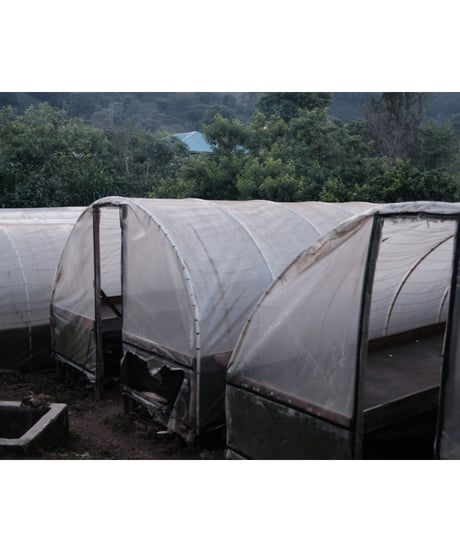 HONDURAS｜El Tanque｜Light Roast｜200g